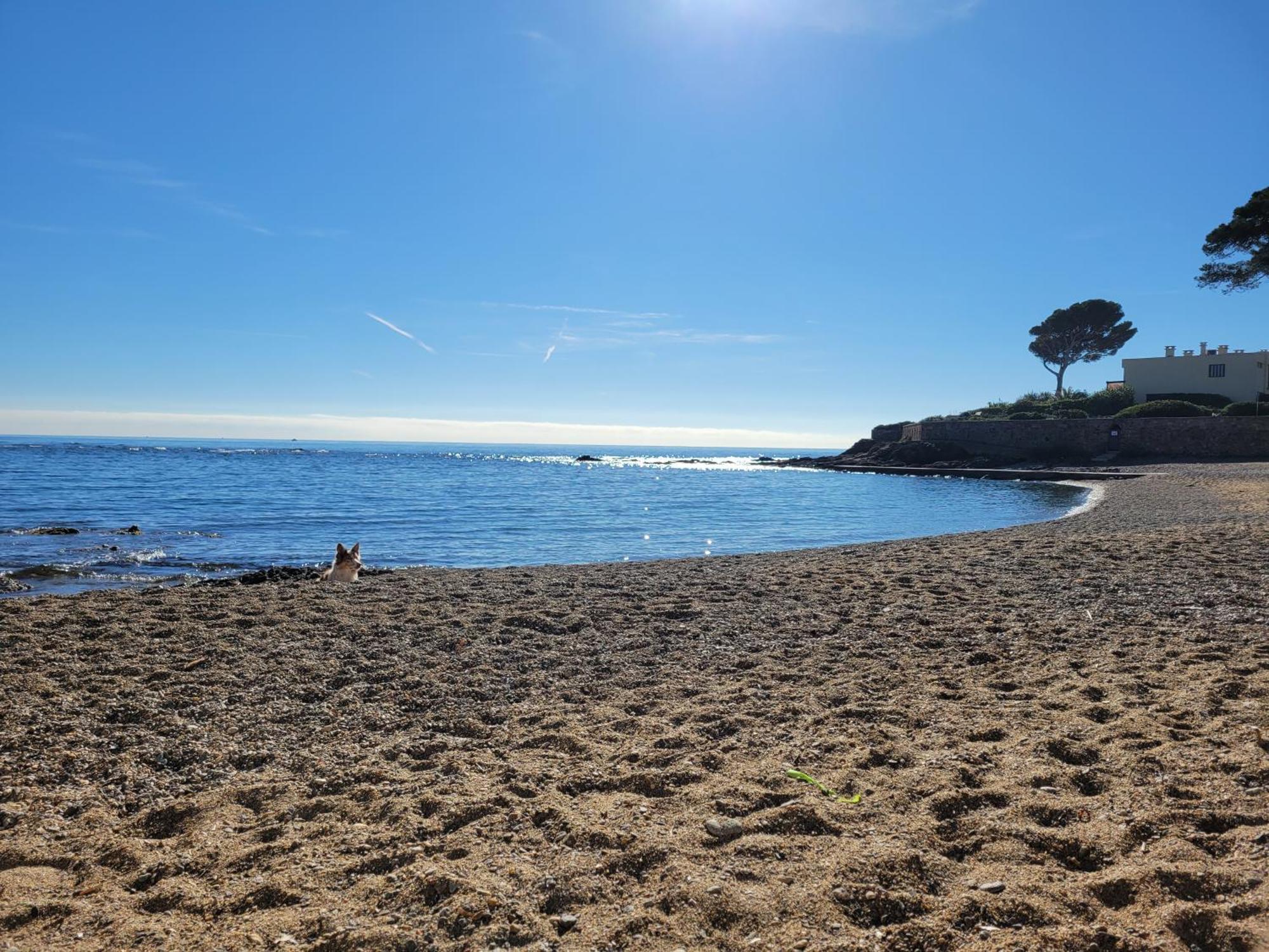 Appartement La Tranquillite, 2Mn A Pieds Mer Fréjus 外观 照片